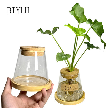 Hydroponic Plant Volcano Small Vase