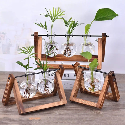 Vintage Hydroponic Plant Glass Vases