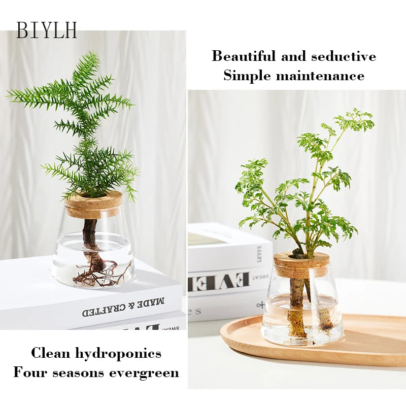 Hydroponic Plant Volcano Small Vase