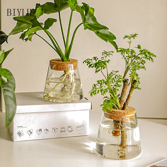 Hydroponic Plant Volcano Small Vase