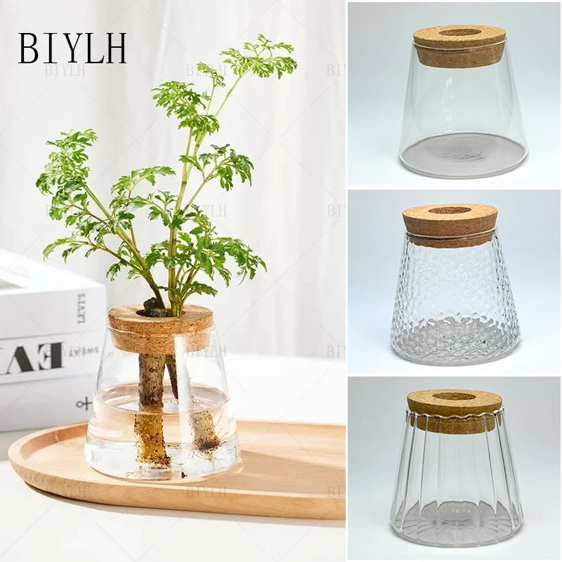 Hydroponic Plant Volcano Small Vase